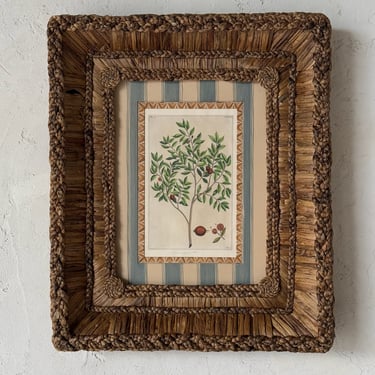 Gusto Woven Frame with 19th C. Rumpf Engravings I