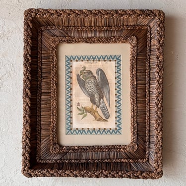 Gusto Woven Frame with Aldrovandi Hand-Colored Ornithological Engraving XL