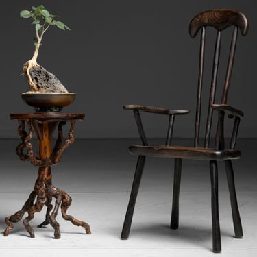 Ficus Bonsai / Primitive Chair