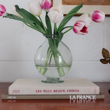 vintage French coffee table book, “les plus beaux chiens”
