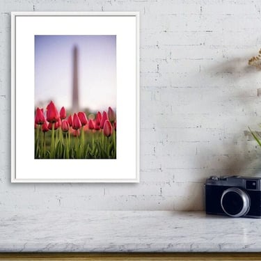 Travel Photography, Spring Flower Photo, Washington Monument Print, Washington DC Photo, Washington DC Print, Spring Tulip Memorial Wall Art 