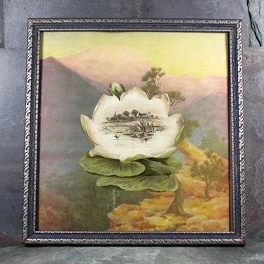 RARE! Antique Lotus Flour Trade Card Art | 1900s Hood Dairy Trade Card Mounted & Framed Under Glass | Bixley Shop 