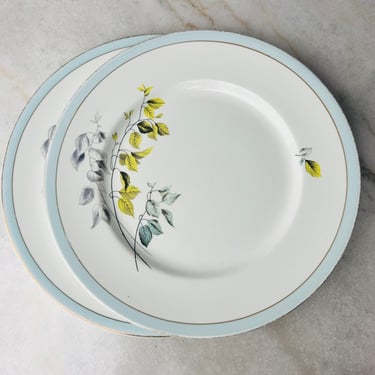 Vintage (6) Myott Meakin Staffordshire 