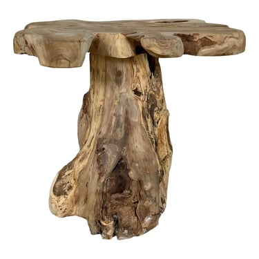 Organic Modern Teak Accent Table