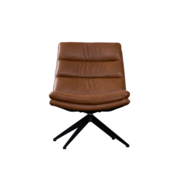 Cetus Leather Accent Chair