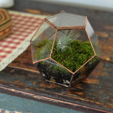 Universe Terrarium Kit, large dodecahedron glass terrarium with a hinged door -- stained glass -- copper or silver color -- eco friendly 