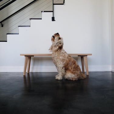 Double Down Coffee Table