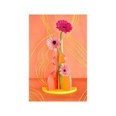 Pink Sunflowers with Curvy Shapes: Still Life, Bespoke Print, Fine Art Photography, Archival Print, Giclée Print, Modern Art, Decorative Art 