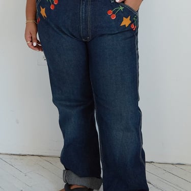 Daisy World - Fruit Salad Jeans (1X)