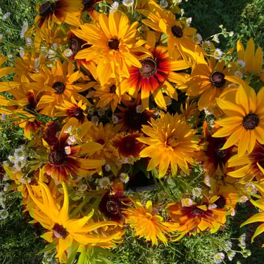 Rudbeckia Wildflower Bouquet
