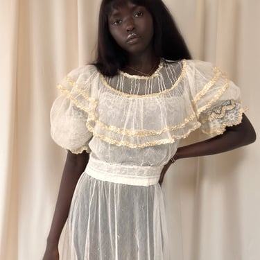 Vintage Edwardian Layed Mesh Tea Dress