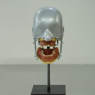 Nissin Dental Phantom