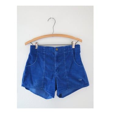 vintage OP shorts / corduroy shorts / 1990s OP Ocean | Cardigan