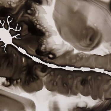 Motor Neuron in Black - original ink painting of brain cell - neuroscience art 