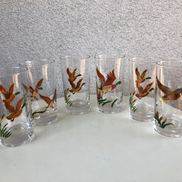 Vintage retro set 6 colorful hand painted Mallard ducks geese theme tumbler Federal glasses holds 8 oz 