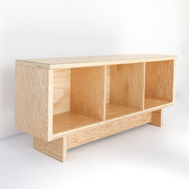 Vinyl Record Storage cabinet | Douglas Fir wood cabinet | Made in LA 