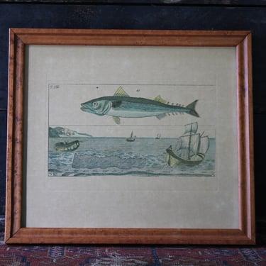 Antique Print after Jacob Nilson, Fish, Augsburg, 1804 Harbor Fishing 