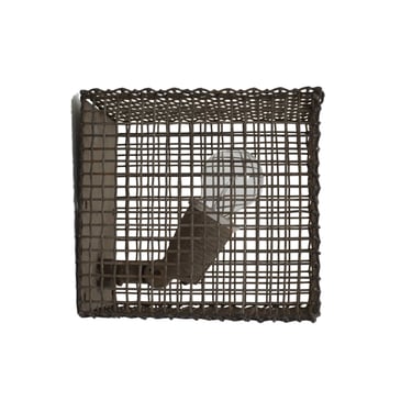 Industrial Caged Sconce 