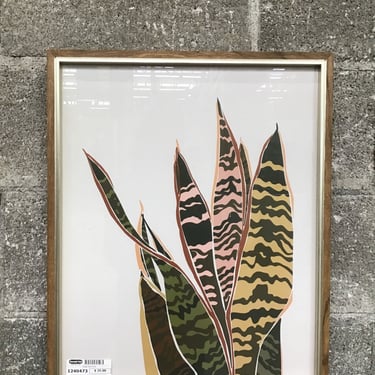 Snake Plant Print (Seattle)