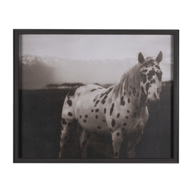 Spotted Solo Framed Art Print