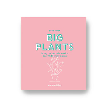 Little Big Book of Plants: Bring the Outside In with Over 45 Friendly Giants by Emily Sibley