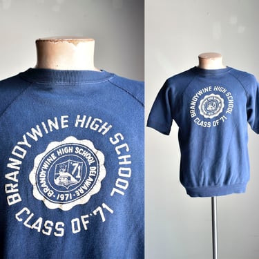 Vintage Pullover Short Sleeve Raglan Sweatshirt / Vintage Brandywine High School Athletic Sweatshirt /70s High School Raglan Sweatshirt / 