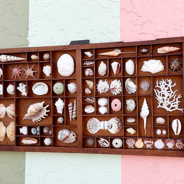 Large Printers Tray Shell Display | Palm Beach Regency | Lake Park, FL