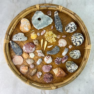 Large Sea Shell and Stone collection, 43 pcs, Hag Stone fossils pepperloney conch crab screw shells, Beach House, Coastal, Nautical Decor 