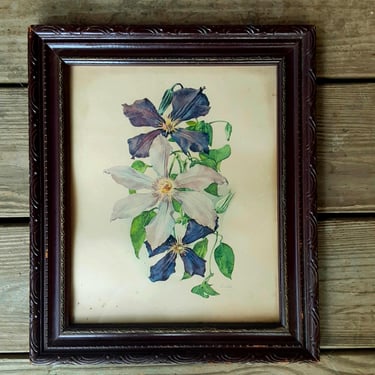 Hand Tinted Purple Clematis Print - Signed Smeel