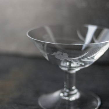 Etched Dessert Coupe Set of 7