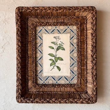Gusto Woven Frame with 18th C. Phillip Miller Botanical Hand-Colored Engraving VII