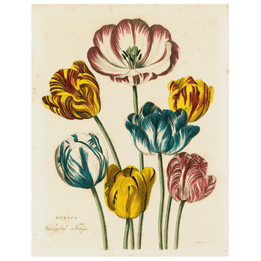 Tulips (p 22) - 11 x 14" Tray