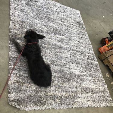 Very Shaggy & Shiny Area Rug (Seattle)