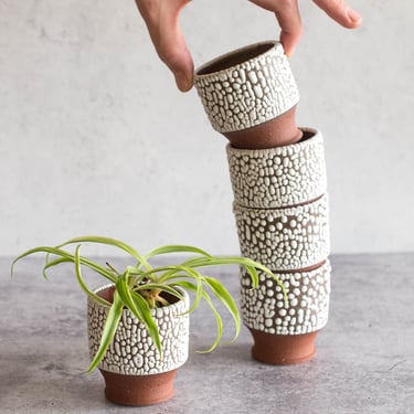 Mini Planter | Small Beaded Planter | Succulent Cactus | Terracotta Pot | Desert Decor | Wedding Present | Modern Ceramics | Boho Decor 