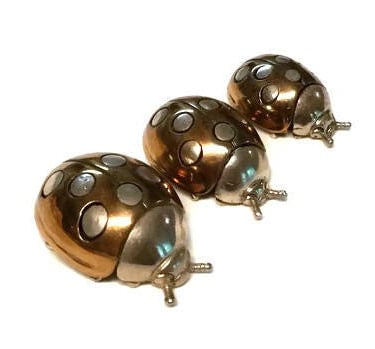 Pietro Sorini and Ilario Casi Silver Miniature Ladybugs 