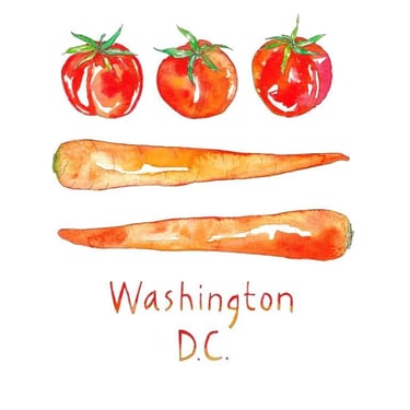 Washington, DC Vegetable Flag Watercolor Art Print