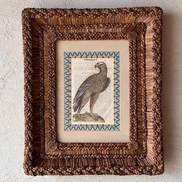 Gusto Woven Frame with Aldrovandi Hand-Colored Ornithological Engraving XLVI