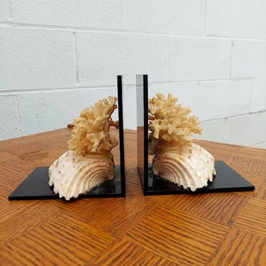Shell and Coral Lucite Bookends