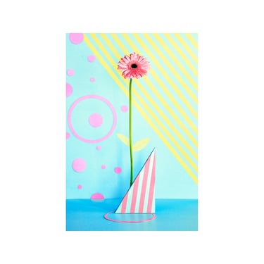 Pink Sunflower with Dots & Stripes: Still Life, Fine Art Photography, Archival Print, Giclée Print, Floral Print, Modern Art, Decorative Art 