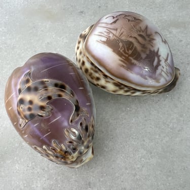 Hand Carved Bali Tiger Cowrie Sea Shell set of 2, Leopard Spot, Dolphin and Coral, Shipwreck, Beach House Coastal Decor, collectible gift 