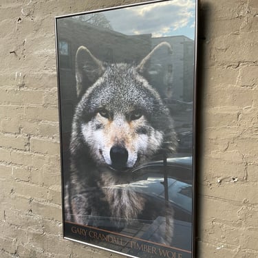 Timber Wolf Poster