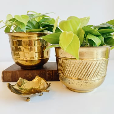 Brass Planters