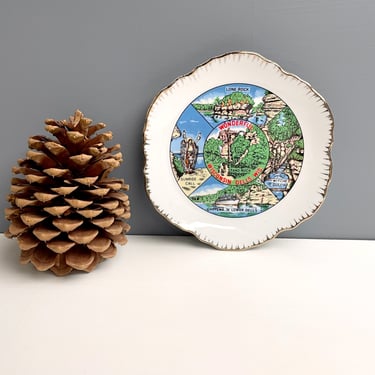 Wonderful Wisconsin Dells souvenir plate - 1960s vintage 