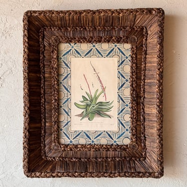 Gusto Woven Frame with 18th C. Phillip Miller Botanical Hand-Colored Engraving I