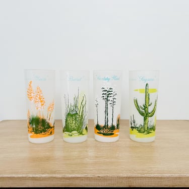 Mid Century Blakely Oil and Gas Tall Frosted Arizona Cactus Glasses - Set of 4 