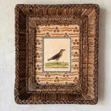 18th C. Eleazar Albin Handcolored Ornithological Engraving in Gusto Wo​ven Frame IX