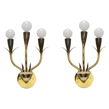 Pair of Italian Fioriera Botanical Sconces