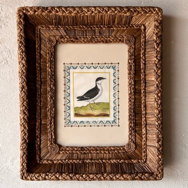 Gusto Woven Frame with Francois Nicolas Martinet Hand-Colored Bird Engraving XXIV