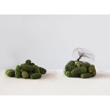 Real Mossy Pinecones, Set of 20