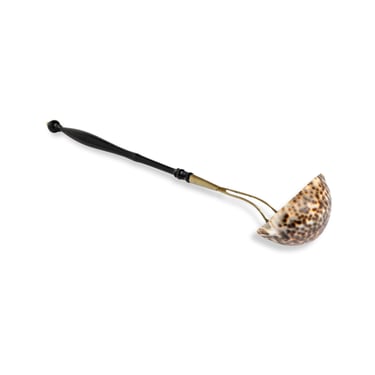 Shell Ladle | Eleish Van Breems Home - Westport, CT / Nantucket, MA | ATTIC